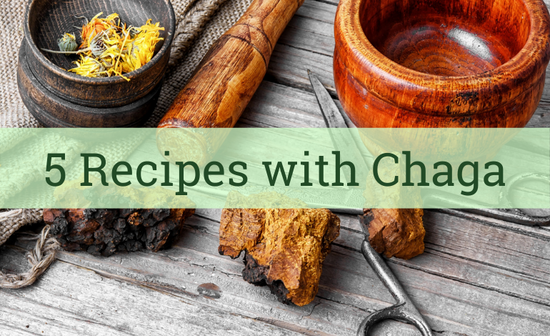 5 NOT Boring Recipes with Chaga