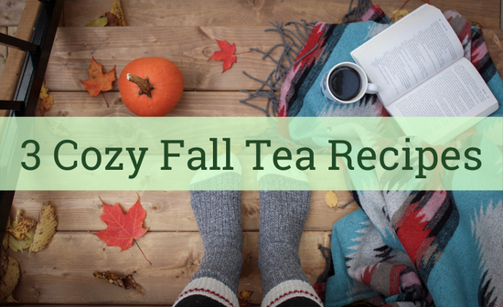 3 MUST TRY Cozy Fall Tea Recipes