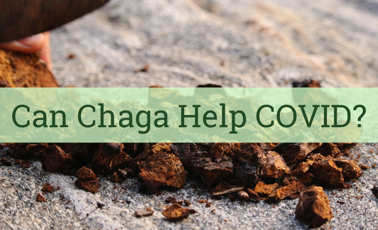 Aroma ChaiTea. Can Chaga Prevent Coronavirus?