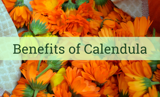 Health Benefits of Calendula Tea