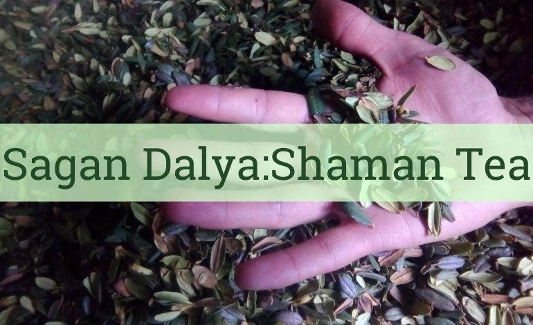 Sagan Dalya: Shamanic Tea that Prolongs Life