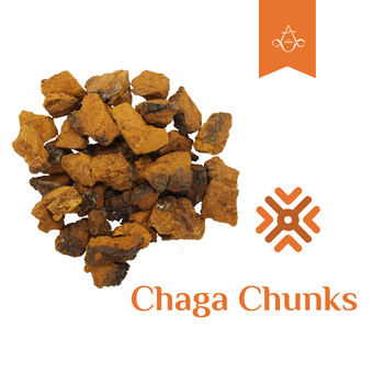 Siberian Chaga Chunks | 4 oz. (110 gr.) | Product sold by Aroma ChaiTea